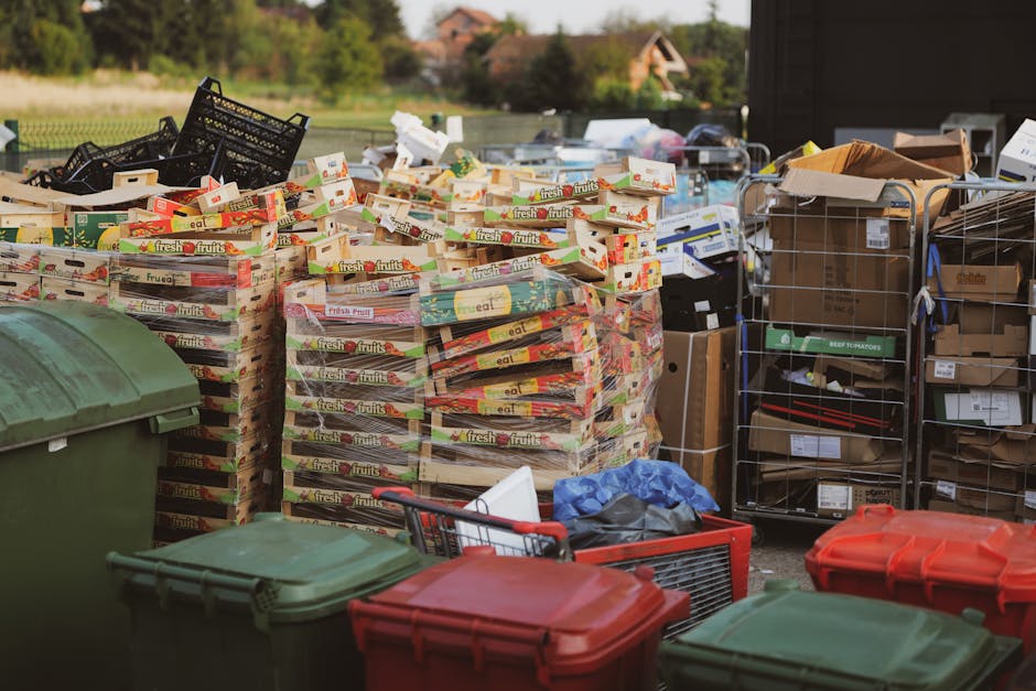 A large outdoor area displays numerous stacks of cardboard boxes filled with fresh fruit packaging, arranged on a paved surface. The boxes are predominantly white with red, green, and yellow accents, labeled 'fresh fruits,' and are stacked to various heights, some leaning slightly. To the right, there are metal wire cages filled with smaller cardboard boxes and assorted packaging materials, with labels and barcodes visible on some items. In the foreground, several plastic rubbish bins in green and red are positioned along the edge of the scene, with some lids closed. A blue plastic bag and a black trash bag are located near the bins, along with a small red shopping trolley containing additional packaging debris. The background shows blurred greenery, a fence, and rooftops of distant houses under natural daylight, suggesting an open storage or collection site, possibly used for private waste collection or on-site clearance, associated with services like those offered by Rubbish Collection Hampstead. The environment appears tidy and organized for waste aggregation, reflecting an alternative to regular council rubbish disposal methods.